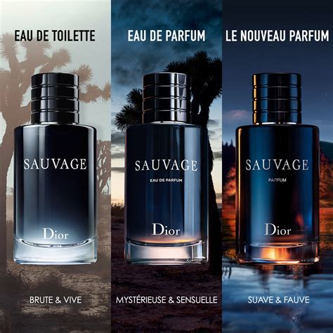 prezzo sauvage dior 100 ml|sauvage dior sephora.